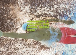 中国体育竞彩网首页_奥古斯托告别足坛，退役宣言倾情家庭，誓做全职丈夫与父亲