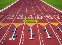 中国竞猜官网-多纳鲁马身价突破4500万欧元，登顶全球门将价值榜