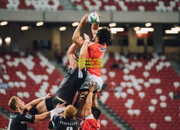 中国竞猜官网：海廷加高度评价奥斯梅恩，与伊布、德罗巴同级的永恒威胁